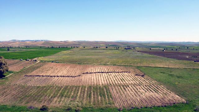 L'area di Mazara del Vallo dove verrà realizzato l'impianto agro-fotovoltaico Engie-Amazon