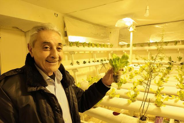 Nino Pollara e la sua coltivazione idroponica Nino Pollara e la sua coltivazione idroponica