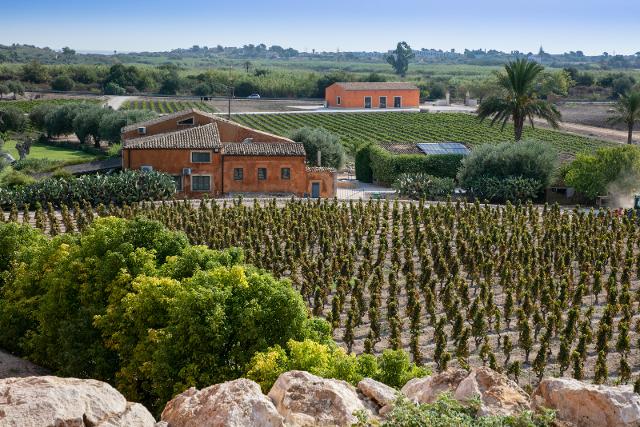 Cantina Feudo Maccari, Noto
