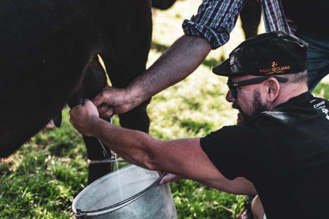 Va matto per la Sicilia, è curioso, consapevole ed esigente. Non si accontenta più, ad esempio, di un visita a una cantina ma vuole partecipare direttamente alla vita dell'azienda vitivinicola, vendemmiando con i vignaioli.