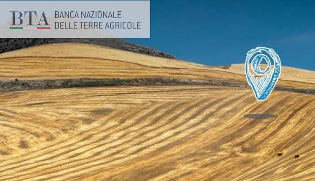 Giovani imprenditori agricoli siciliani, è arrivata la vostra occasione!