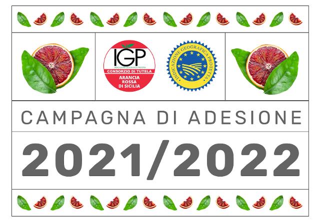 Al via la campagna di adesione 2021/2022 al Consorzio Arancia Rossa di Sicilia IGP