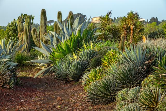 Il Giardino botanico di Radicepura - ph Clive Nichols