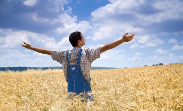 Per fare richiesta di terra, alla Banca nazionale delle Terre agricole si accede attraverso un portale dedicato...