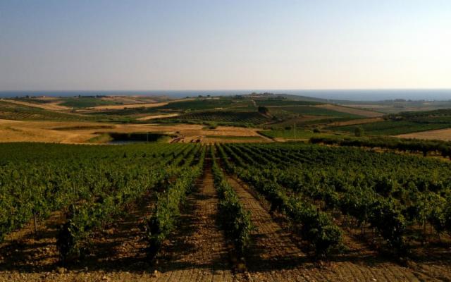 La Sicilia che non ti aspetti... Mandrarossa inaugura la sua nuova Winery