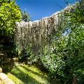 Alle falde dell'Etna torna il Radicepura Garden Festival