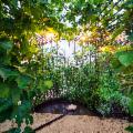 Alle falde dell'Etna torna il Radicepura Garden Festival