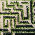 Alle falde dell'Etna torna il Radicepura Garden Festival