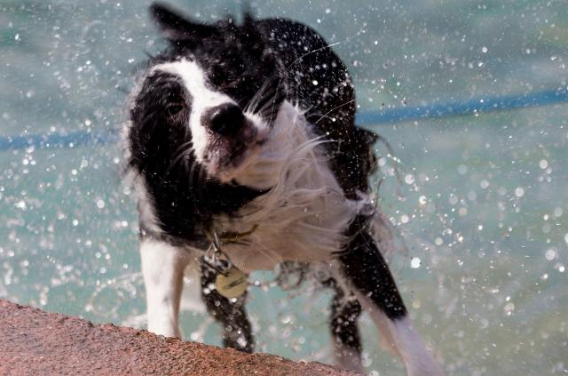 Doccia si o no dopo il bagno al mare?