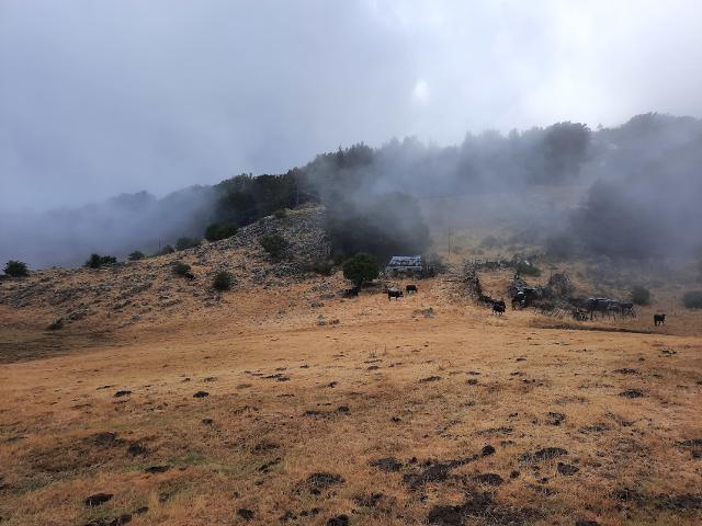 Foto di Alvise Raimondi - "Madonie, Paesaggi 1973/2021. Fondo storico e nuove committenze" Foto di Alvise Raimondi - "Madonie, Paesaggi 1973/2021. Fondo storico e nuove committenze"