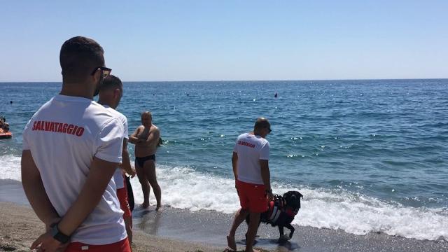 Nella spiaggia di Giardini Naxos weekend di sicurezza con i bagnini a quattrozampe