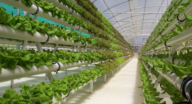 Modello di serra aeroponica