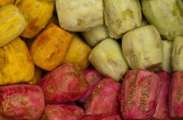 Ficodindia dell'Etna DOP