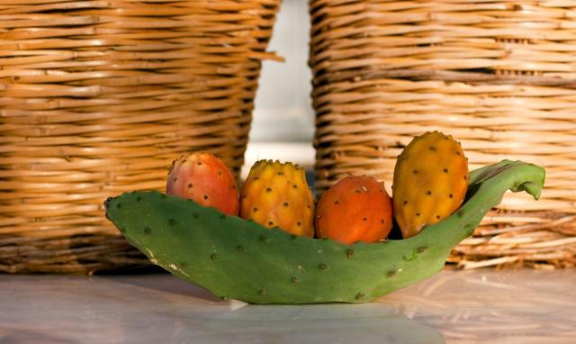 Ficodindia dell'Etna DOP