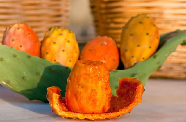 Ficodindia dell'Etna DOP