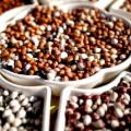 La Sicilia che resiste nei Presìdi Slow Food