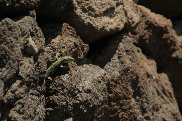 Giardino Pantesco, foto di Gaia Agnello