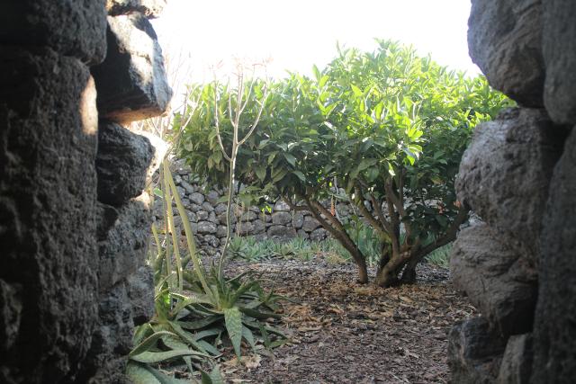 Giardino Pantesco, foto di Gaia Agnello