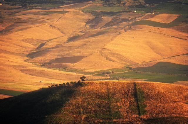 Paesaggio campestre a Poggioreale (TP)