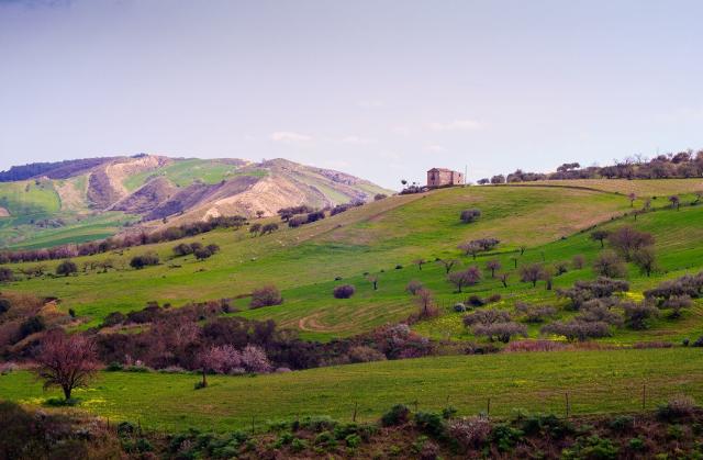 Il turismo di prossimità ed esperienziale, così come la ricerca di esperienze naturalistiche da parte dei turisti, rappresentano un elemento in costante crescita e non soltanto a causa della pandemia...