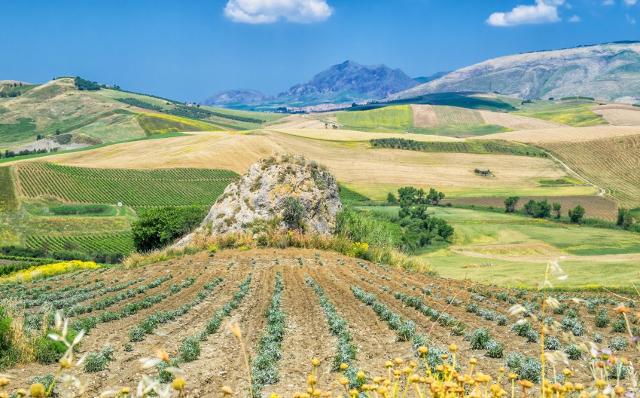 Sono sempre di più i viaggiatori che a mete sovraffollate e spesso anti-economiche scelgono borghi, agriturismi, country house, strutture ricettive a conduzione familiare...