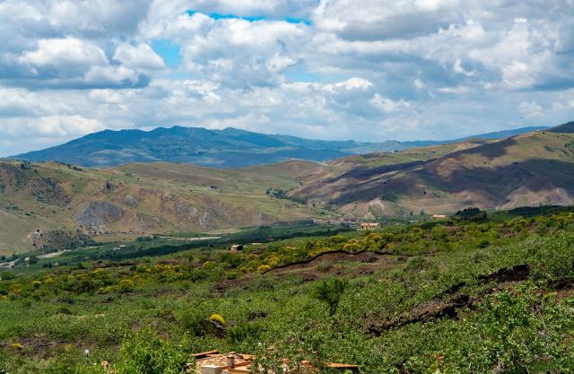 Pistacchieto a Bronte (CT)