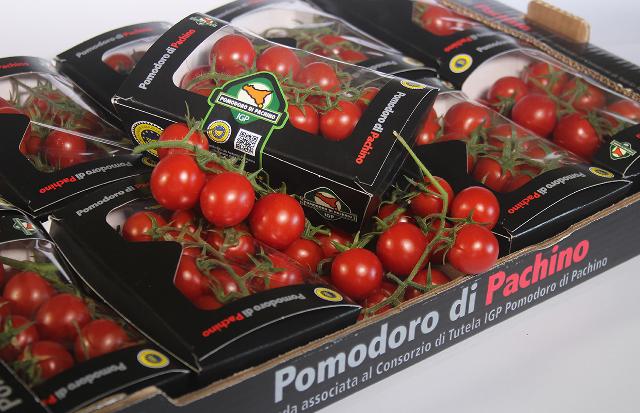 Pomodoro di Pachino IGP