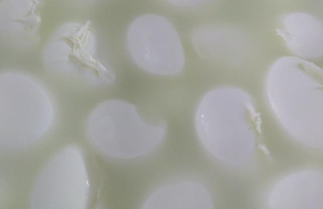 La Mozzarella di Bufala prodotta da Lorenzo Pagliaroli
