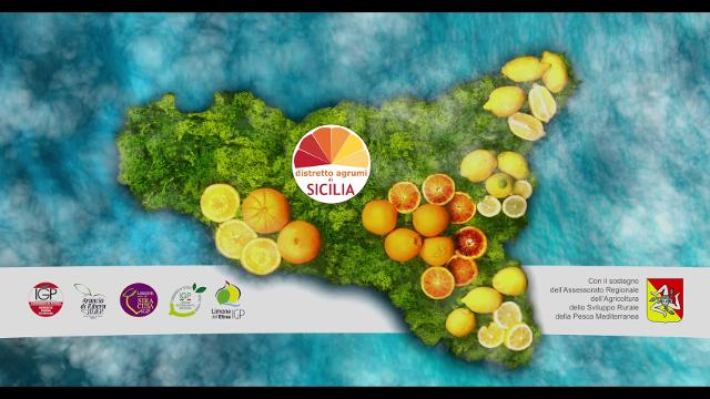 La Sicilia degli agrumi è un'''Isola magica''