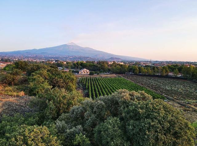 L'Etna Urban Winery