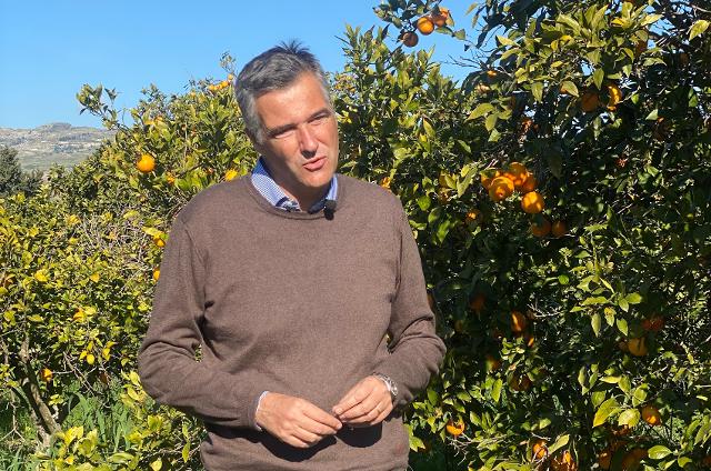 Gerardo Diana, presidente del Consorzio di tutela Arancia Rossa di Sicilia IGP