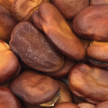 La Sicilia che resiste nei Presìdi Slow Food
