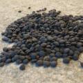 La Sicilia che resiste nei Presìdi Slow Food