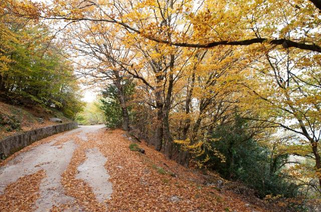 Madonie, paesaggio autunnale