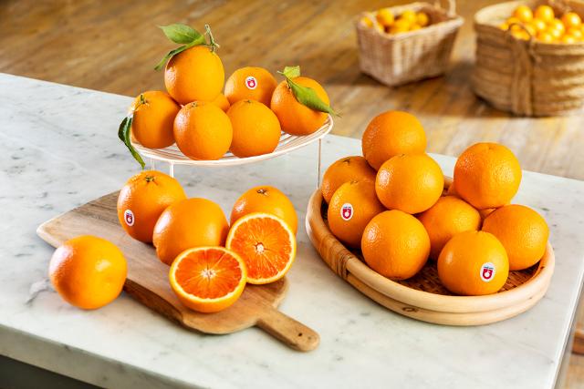 Le arance rosse siciliane tornano a viaggiare verso il Giappone