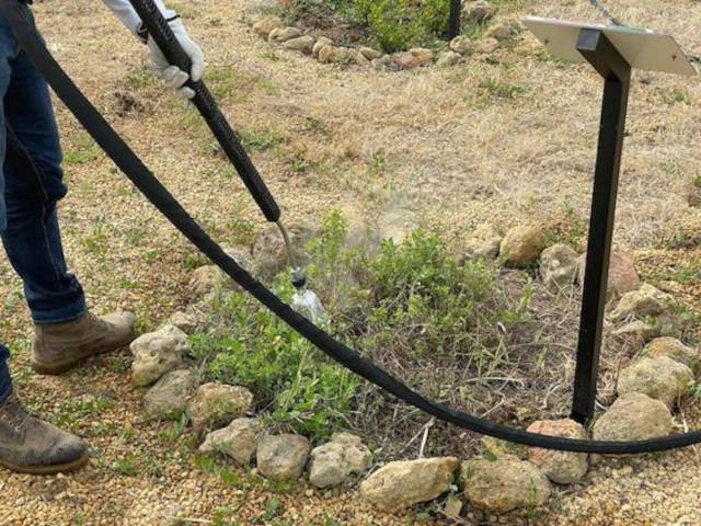 L'intervento di green conservation al Tempio di Asclepio