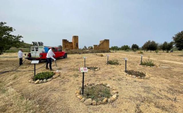 L'intervento di green conservation al Tempio di Asclepio