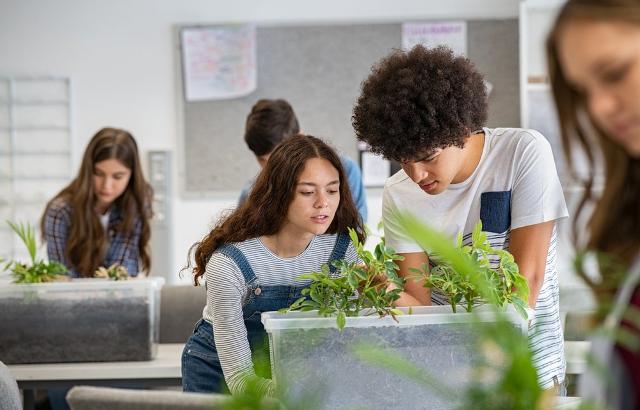 Il nuovo Liceo TRED, che segue gli obiettivi del PNRR e del Piano "RiGenerazione Scuola", presenta diverse innovazioni sia sul piano del metodo che dei contenuti ed è il risultato di una stretta collaborazione tra scuole, imprese e università...