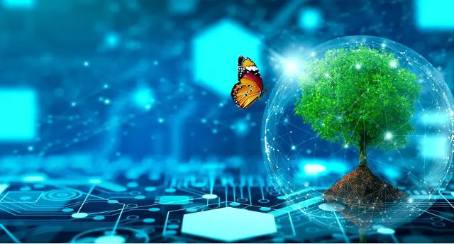 Sono 27 i Licei in tutta Italia che costituiranno la rete TRED a partire dal prossimo anno scolastico 2022/2023.