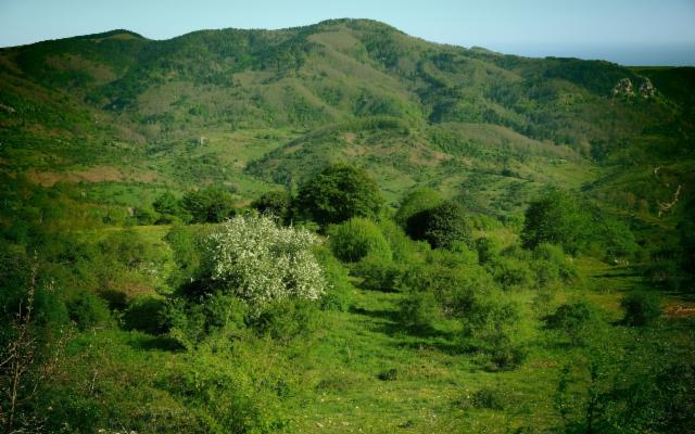 Il Parco dei Nebrodi