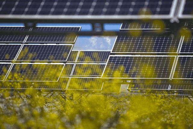 Una volta completato, il parco agrivoltaico di Scicli produrrà circa 20 GWh di energia rinnovabile, pari al fabbisogno di circa 5mila famiglie.