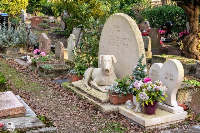 Anche la Sicilia avrà i cimiteri dedicati agli animali domestici