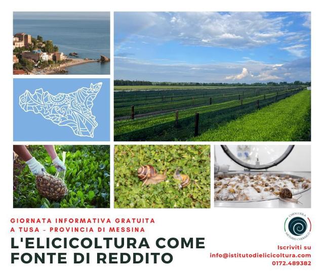 L'ELICICOLTURA COME FONTE DI REDDITO