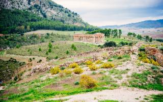 Torna alla luce l'antica strada lastricata di Segesta