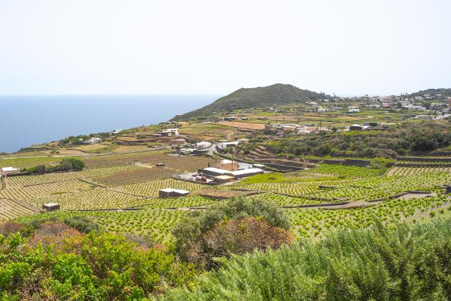 Il ''Cammino di Khamma'' a Donnafugata per scoprire la biodiversità di Pantelleria