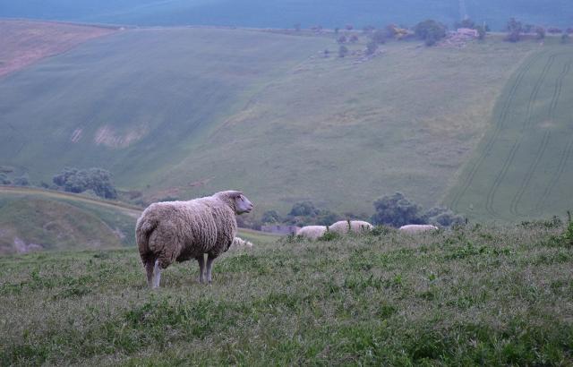 Polizzi Generosa, Antico Feudo San Giorgio