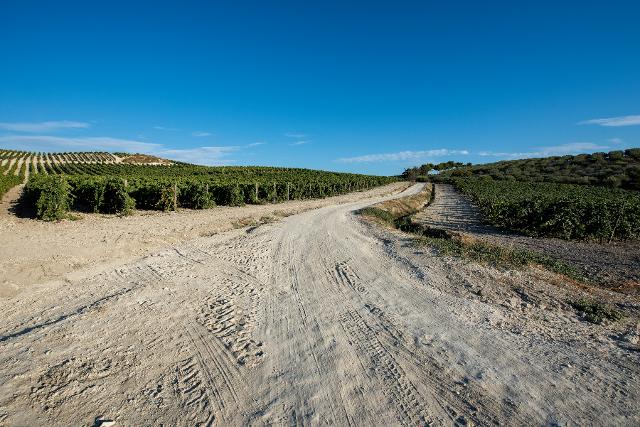Tenuta San Giacomo, Butera (CL) - Cusumano 