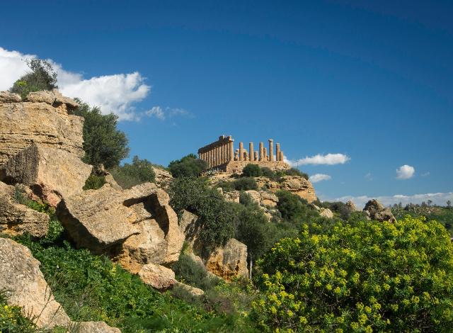 Piante e vegetazione nella Valle dei Templi Piante e vegetazione nella Valle dei Templi