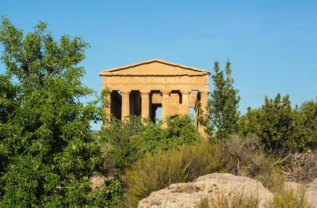 Piante e vegetazione davanti il Tempio della Concordia Piante e vegetazione davanti il Tempio della Concordia