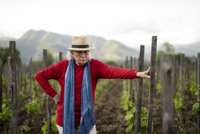 Vittorio Storaro tra le vigne di Alta Mora, sull'Etna - Cusumano